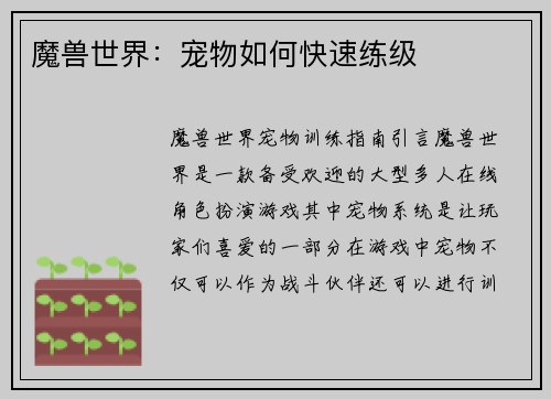 魔兽世界：宠物如何快速练级